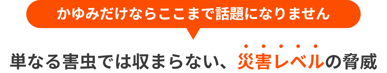 かゆみだけならここまで話題になりません 単なる害虫では収まらない、災害レベルの脅威